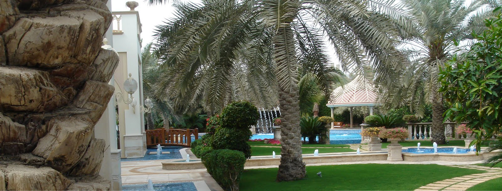 Al Noaimi Page Banner