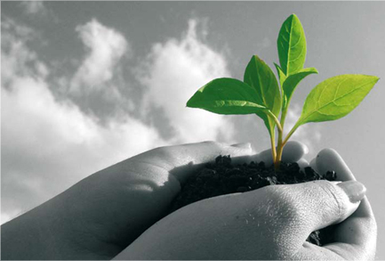 Hands holding a young plant seedling in soil, symbolising Al Noaimi's green mission