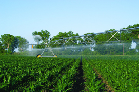 Irrigation Services