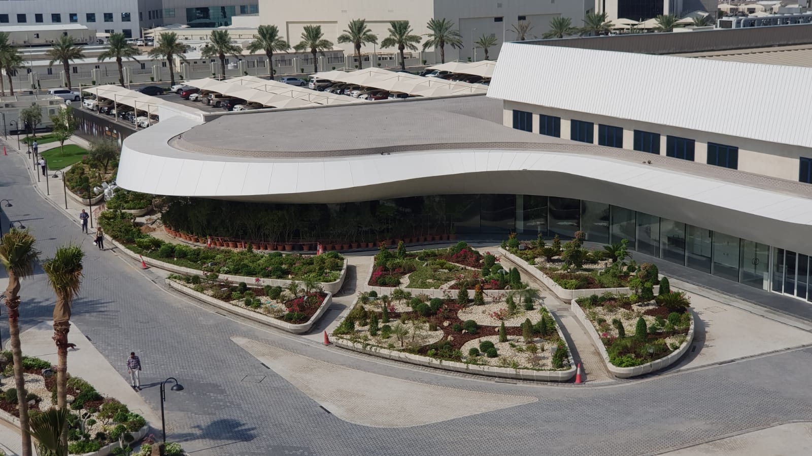 Landscaped planting beds and paved courtyard around a modern building in Qatar