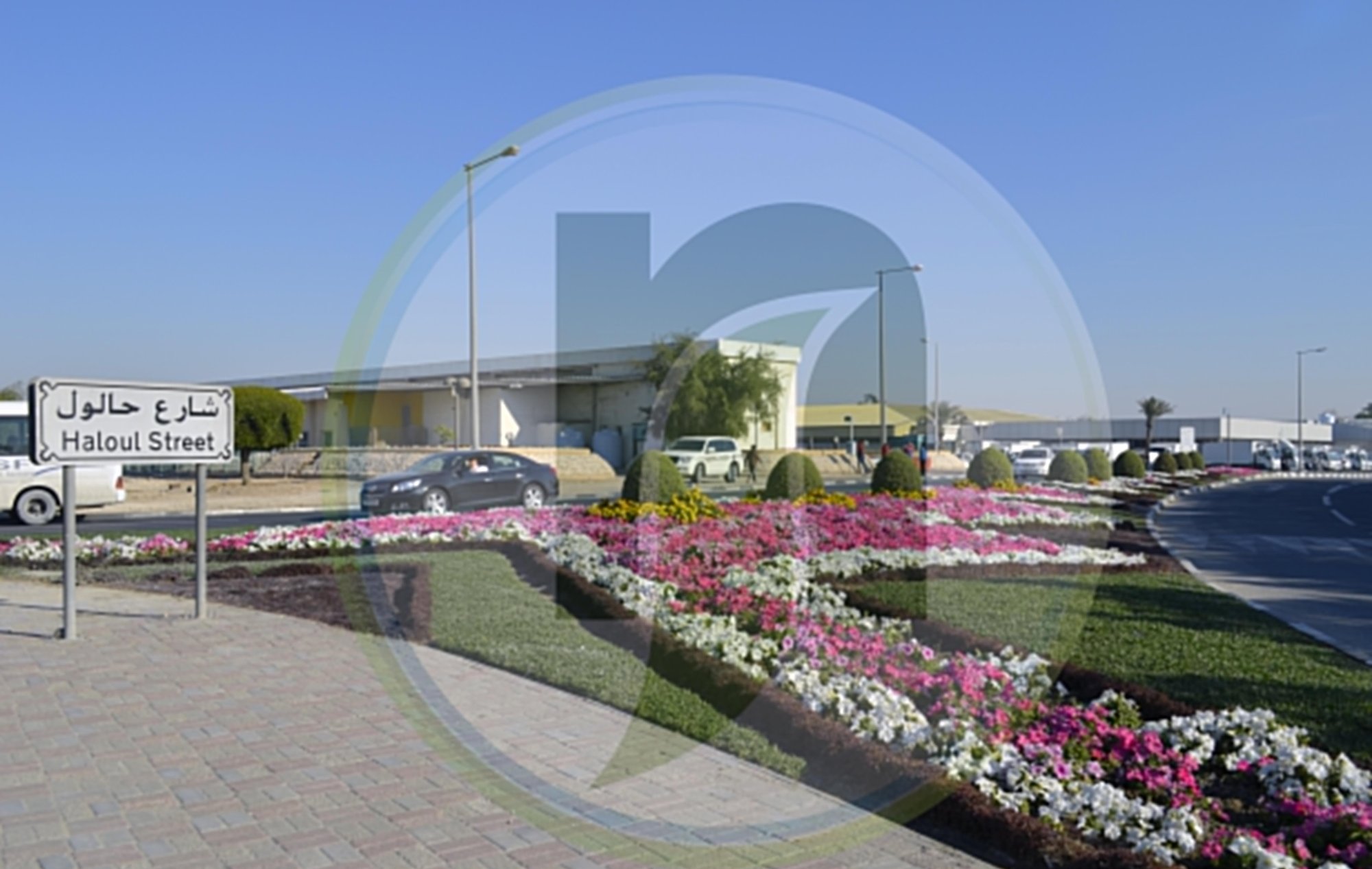 Seasonal flower beds on Haloul Street, Doha, maintained by Al Noaimi