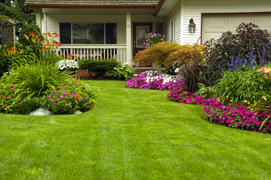 Landscaping Services