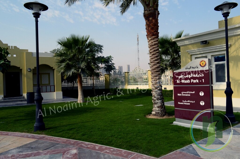 Park lawn with palm trees and lamp posts in Doha, Qatar