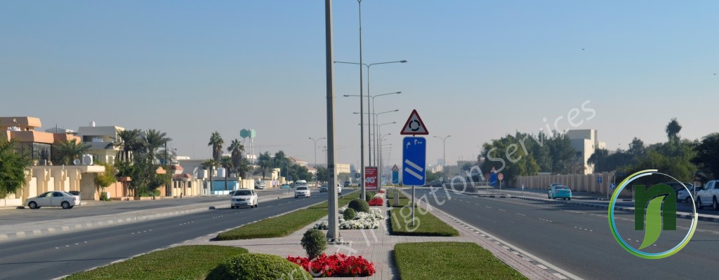 Road median landscaping with clipped hedges and a red flower bed on a Doha avenue